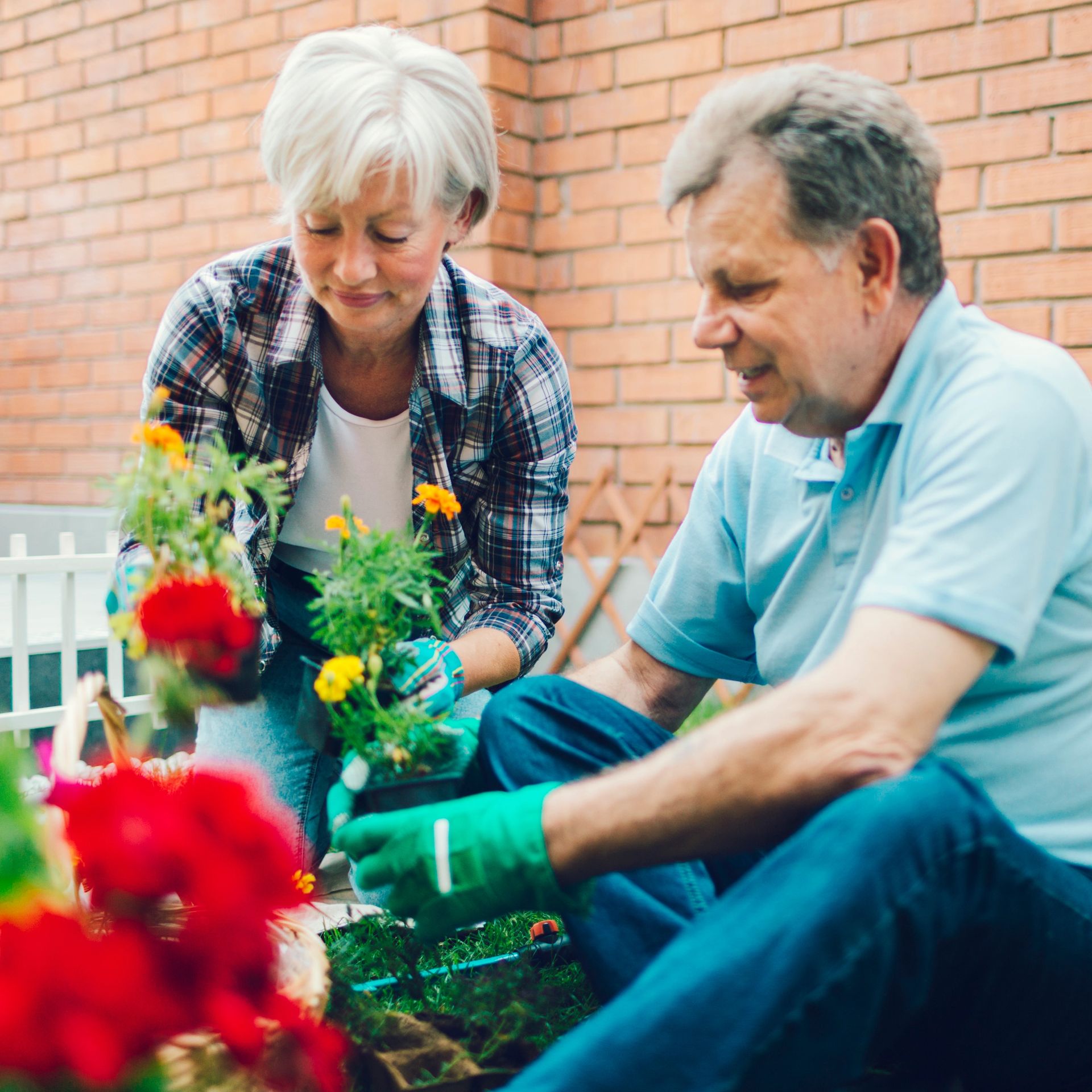 Smiling elderly couple enjoying a conversation